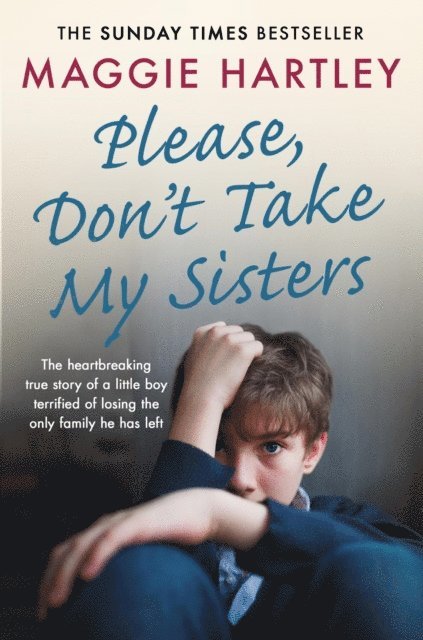 Maggie Hartley - Please Don't Take My Sisters, E-bok