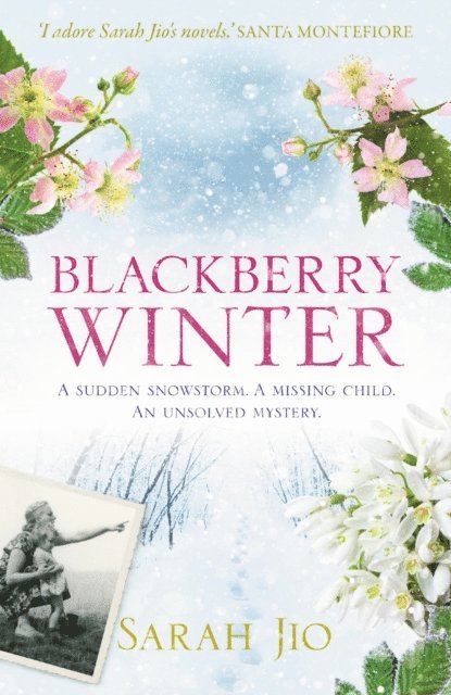 Sarah Jio - Blackberry Winter, E-bok