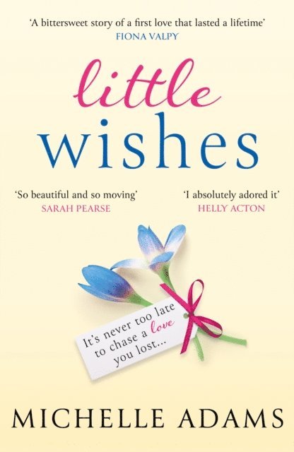 Michelle Adams - Little Wishes, E-bok