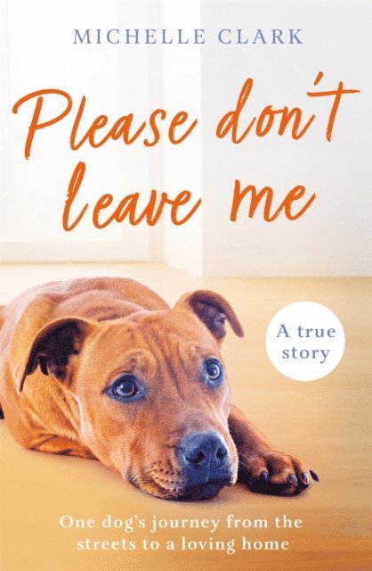 Michelle Clark - Please Don't Leave Me, E-bok