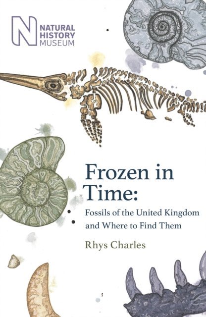 Rhys Charles - Frozen in Time, E-bok