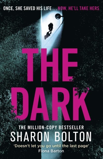 Sharon Bolton - Dark, E-bok