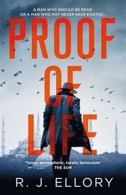 R.J. Ellory - Proof of Life, Häftad