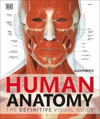 Human Anatomy