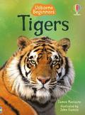 Tigers
