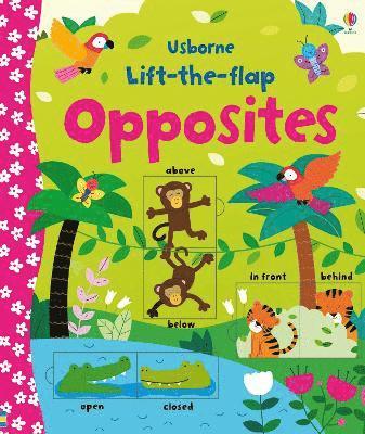 Lift-the-flap Opposites av Felicity Brooks