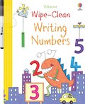 Wipe-clean Writing Numbers