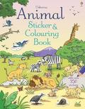 Animal Sticker and Colouring Book