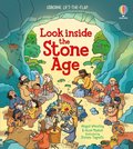 Look Inside the Stone Age
