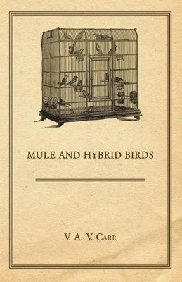 V. A. V. Carr - Mule And Hybrid Birds, Häftad. Tillgänglighet: Lägg i varukorg