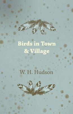 Birds In Town & Village