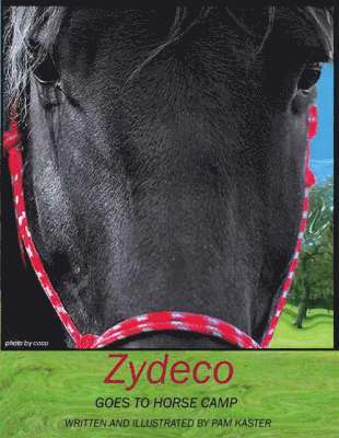 Pam Kaster - Zydeco Goes to Horse Camp, Häftad. Tillgänglighet: Lägg i varukorg