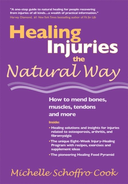 Michelle Schoffro Cook - Healing Injuries the Natural Way, E-bok