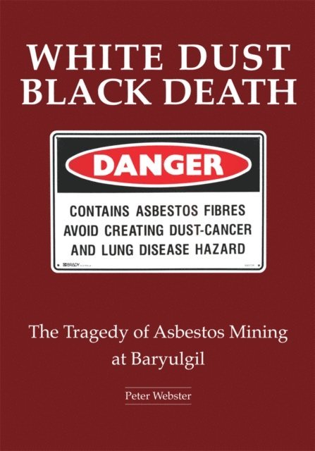 Peter Webster - White Dust Black Death, E-bok