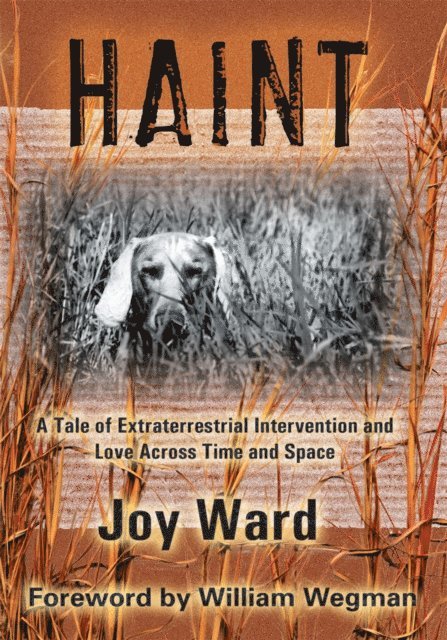 Joy Ward - Haint, E-bok