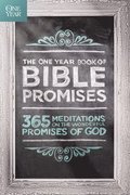 One Year Book Of Bible Promises, The