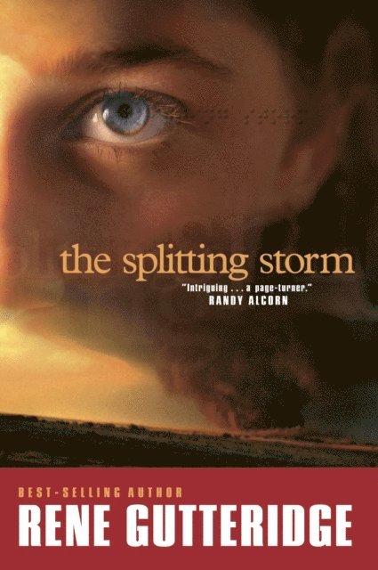 Rene Gutteridge - Splitting Storm, E-bok
