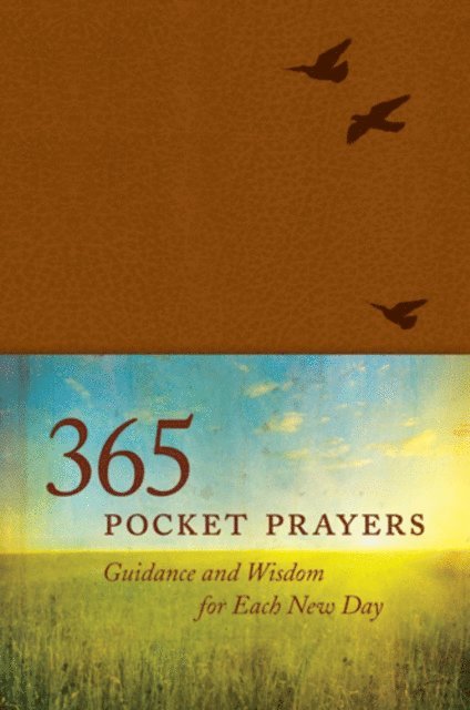 Ronald A. Beers - 365 Pocket Prayers, E-bok