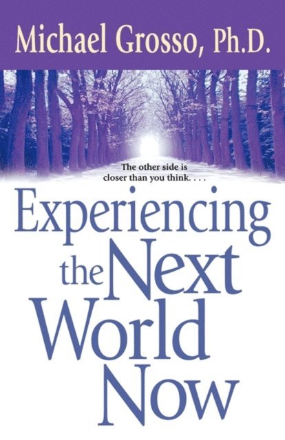 Michael Grosso - Experiencing the Next World Now, E-bok. Tillgänglighet: Lägg i varukorg