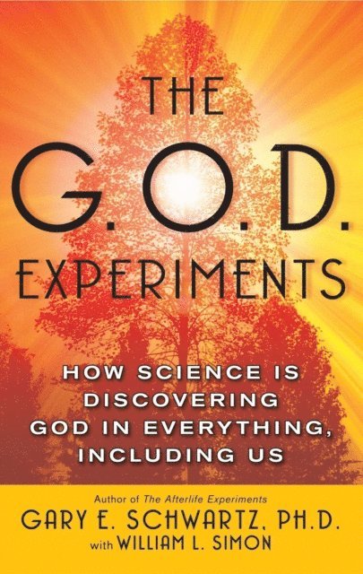 Gary E. Schwartz - G.O.D. Experiments, E-bok