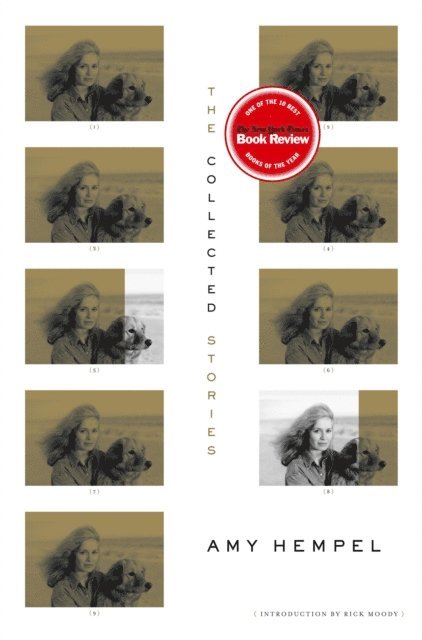 Amy Hempel - Collected Stories of Amy Hempel, E-bok