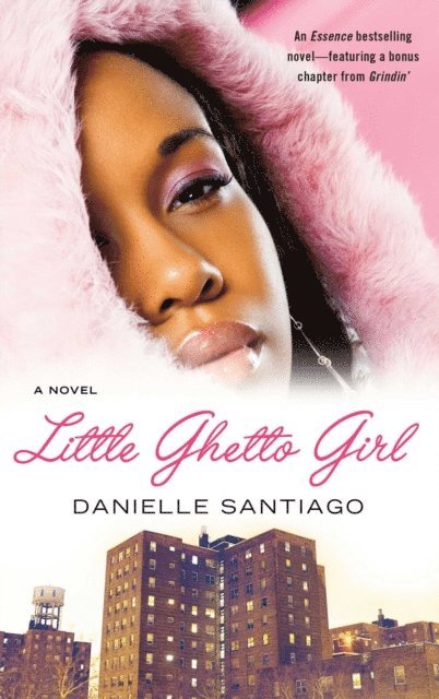 Danielle Santiago - Little Ghetto Girl, E-bok