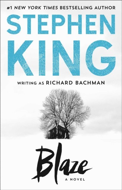 Stephen King - Blaze, E-bok