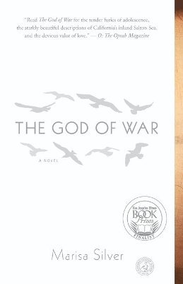 Marisa Silver - God of War, Häftad