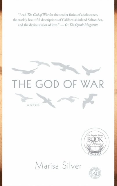Marisa Silver - God of War, E-bok