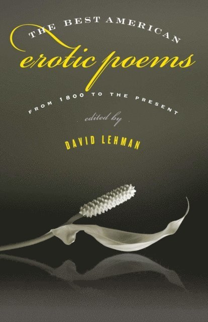 David Lehman - Best American Erotic Poems, E-bok
