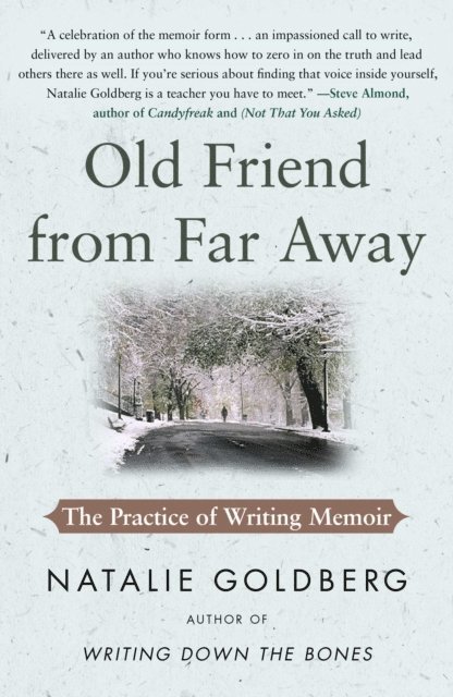 Natalie Goldberg - Old Friend from Far Away, E-bok