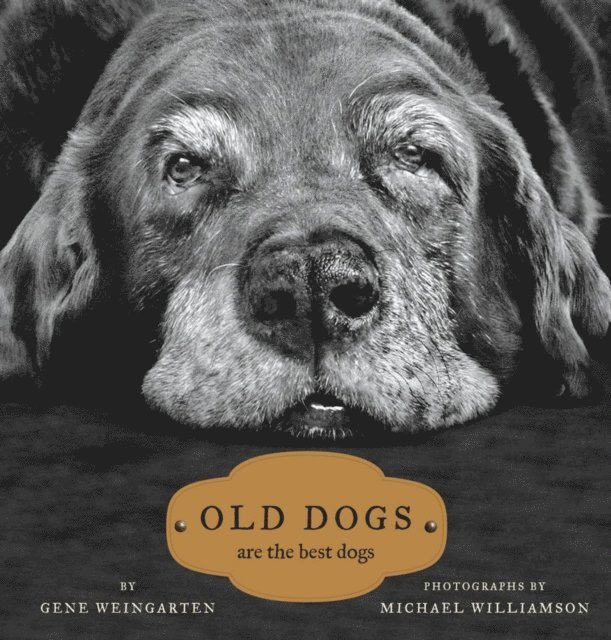 Gene Weingarten - Old Dogs, E-bok