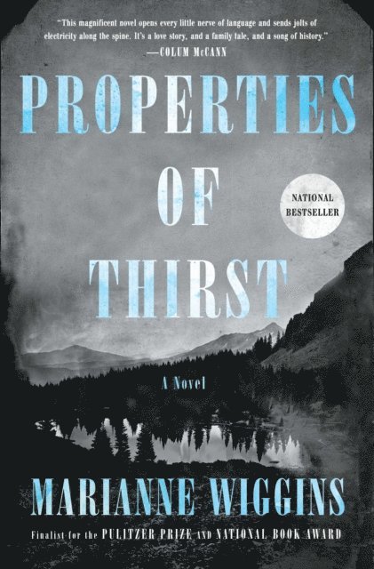 Marianne Wiggins - Properties of Thirst, E-bok