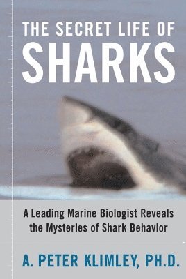 Secret Life of Sharks av A Peter Klimley