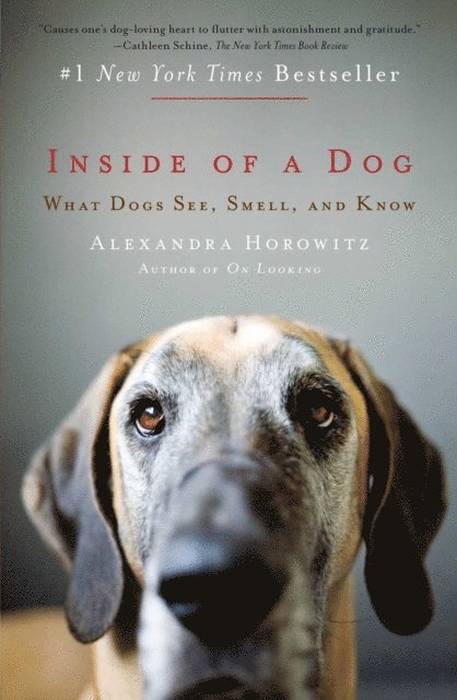 Alexandra Horowitz - Inside of a Dog, E-bok