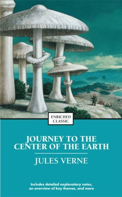 Jules Verne - Journey to the Center of the Earth, E-bok