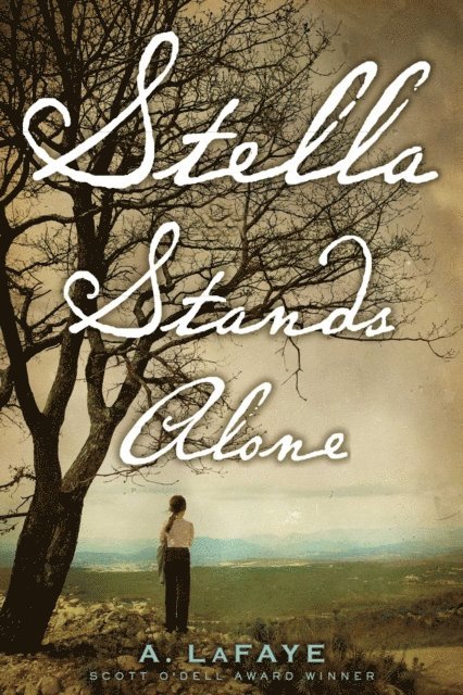 A. LaFaye - Stella Stands Alone, E-bok