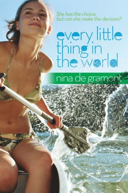 Nina de Gramont - Every Little Thing in the World, E-bok
