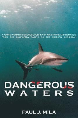 Paul J. Mila - Dangerous Waters, Häftad