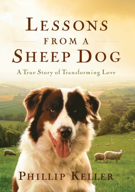 Phillip Keller - Lessons from a Sheep Dog, E-bok