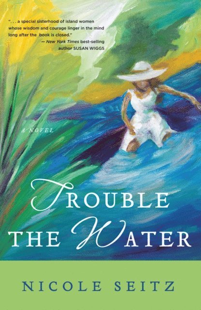 Nicole Seitz - Trouble the Water, E-bok