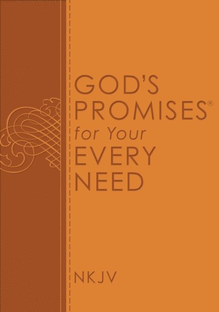 Thomas Nelson - God's Promises for Your Every Need, NKJV, E-bok