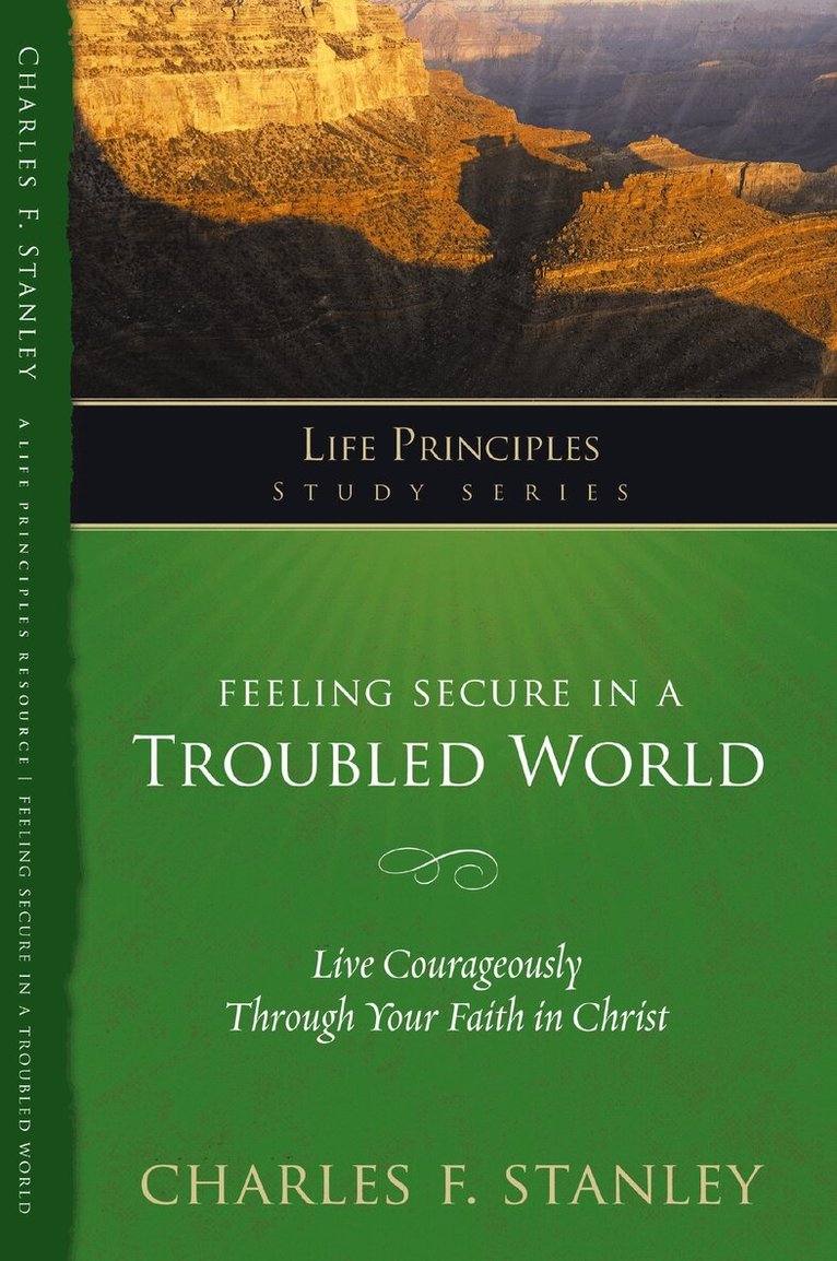 Charles F. Stanley - Feeling Secure in a Troubled World, Häftad