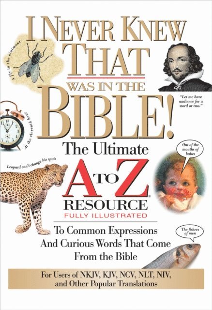 Martin H. Manser - I Never Knew That Was in the Bible, E-bok
