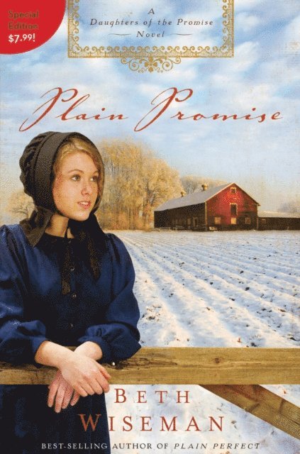 Beth Wiseman - Plain Promise, E-bok