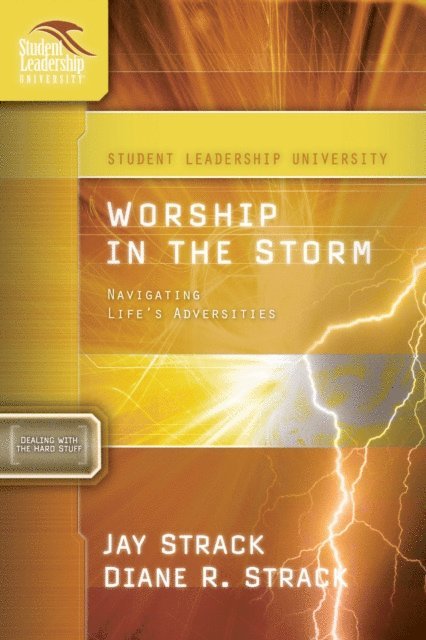 Diane Strack, David Edwards, Jay Strack - Worship in the Storm, E-bok