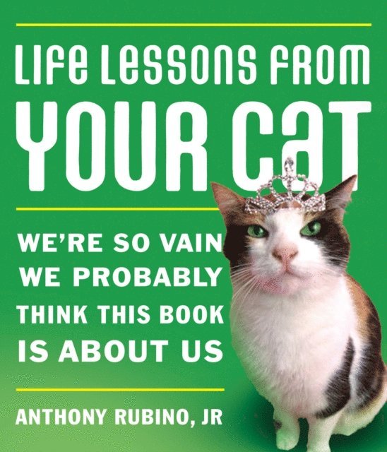 Life Lessons from Your Cat