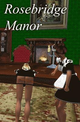 Andy Master - Rosebridge Manor, Häftad