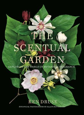 Scentual Garden: Exploring the World of Botanical Fragrance av Ken Druse