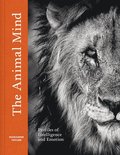 Animal Mind